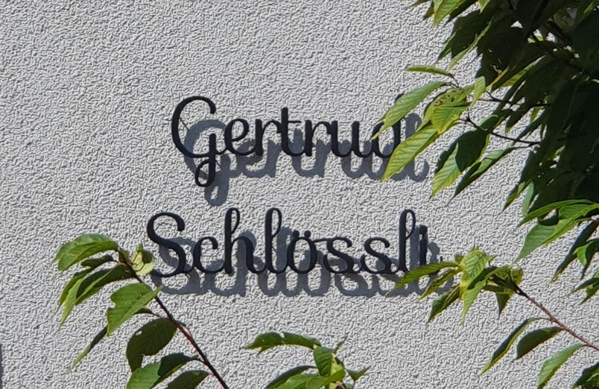 2-4 Zimmer Apartments Stilvoll Im Gertrud Schloessli - Zentral Ruhig Санкт Гален Екстериор снимка